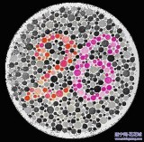 體檢色卡 色盲色卡 體檢辨色卡 醫(yī)院用色卡